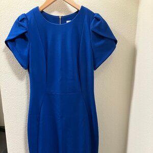 Calvin Klein Dress Blue Tulip Sleeve, Size 2